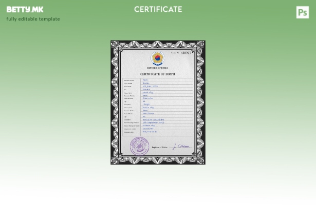 Модерен стил на шаблон за PSD извод од матична книга на родени Јужна Кореја